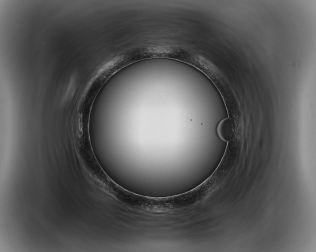 X0000085790731200703301450