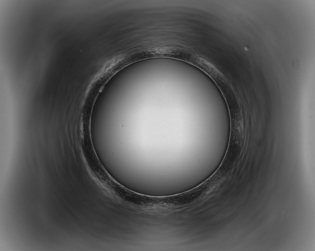 X0000085790734200703301451