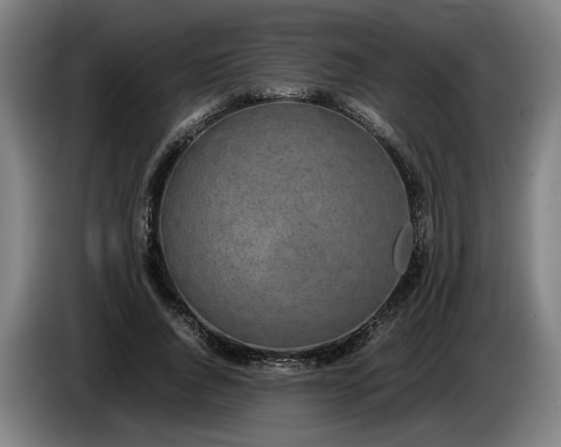 X0000085790736200703301451