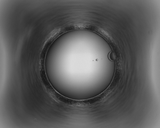 X0000085790738200703301451