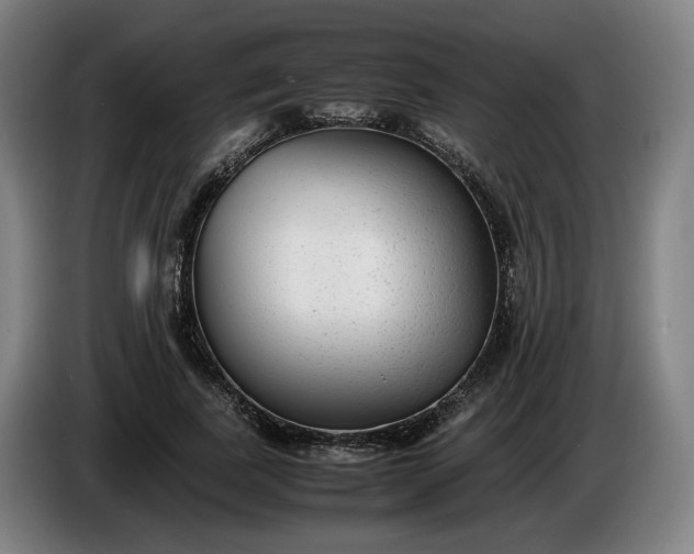X0000085790739200703301451