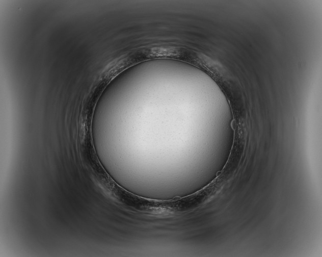 X0000085790741200703301451