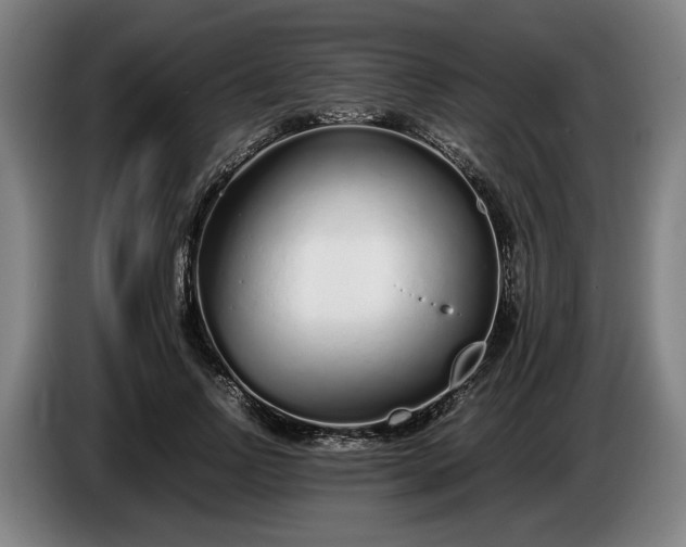 X0000085790742200703301451