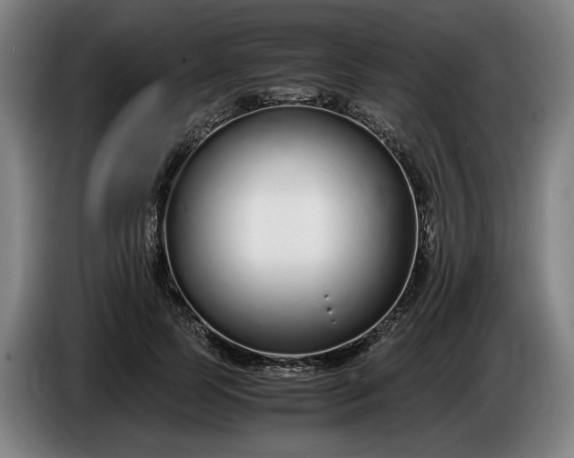 X0000085790745200703301451