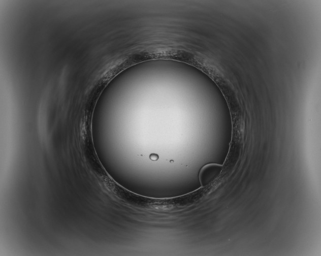 X0000085790746200703301451
