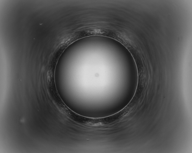 X0000085790747200703301451