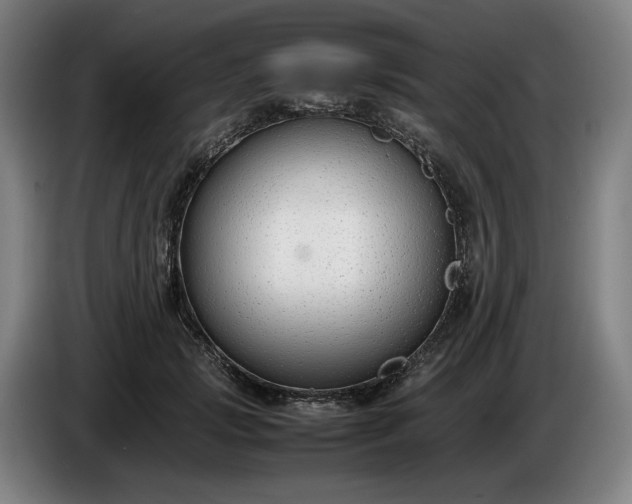 X0000085790749200703301451
