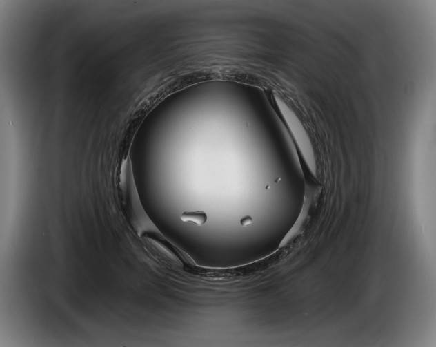 X0000085790750200703301451