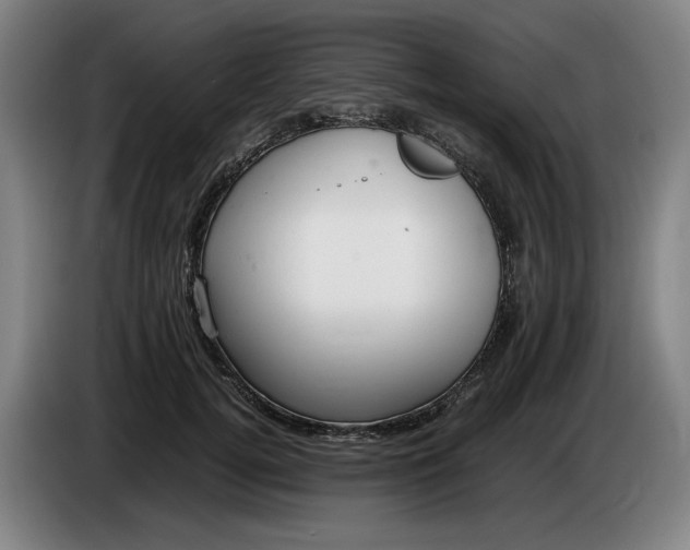 X0000085790752200703301451