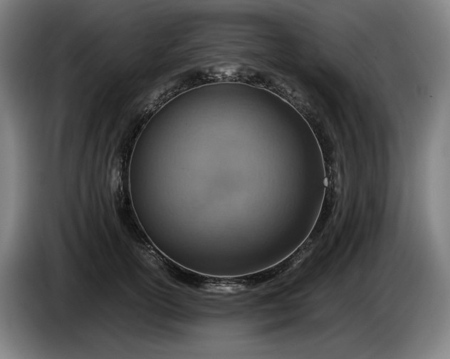 X0000085790754200703301451