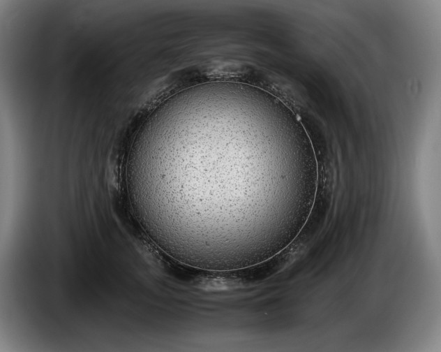 X0000085790755200703301451