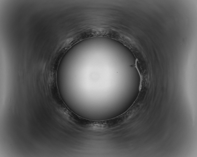 X0000085790756200703301451