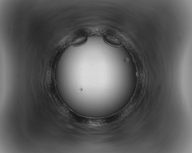 X0000085790757200703301451