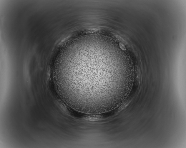 X0000085790758200703301451