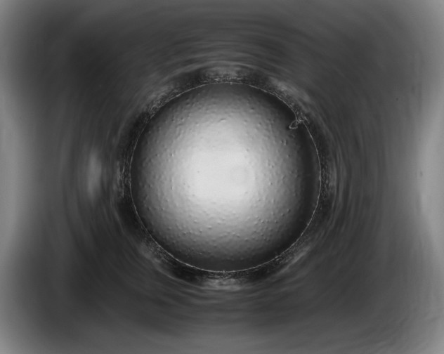 X0000085790759200703301451