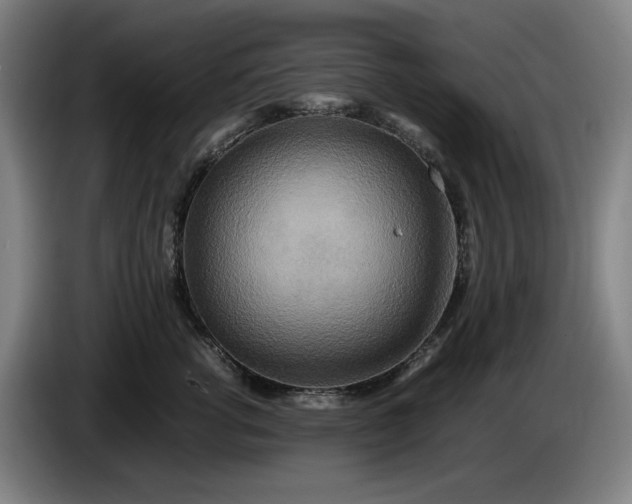X0000085790762200703301451