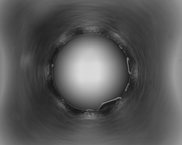 X0000085790764200703301451