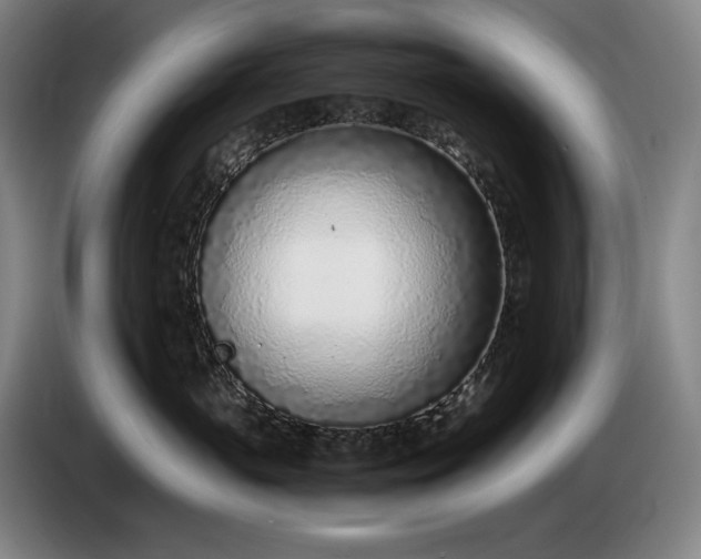 X0000085790765200703301451