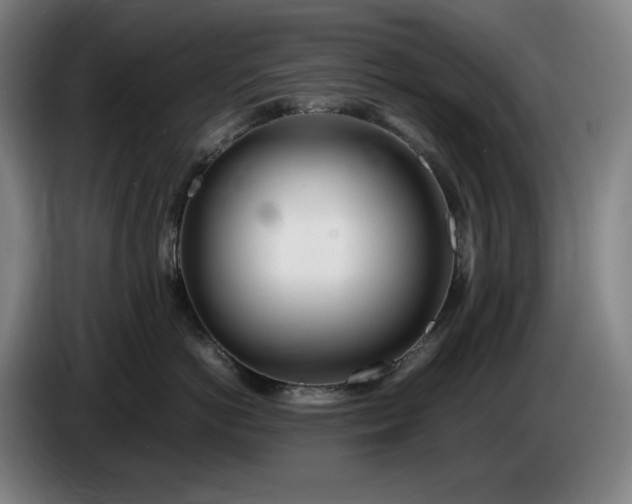X0000085790766200703301451
