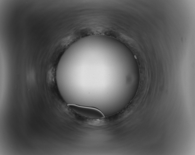 X0000085790768200703301451