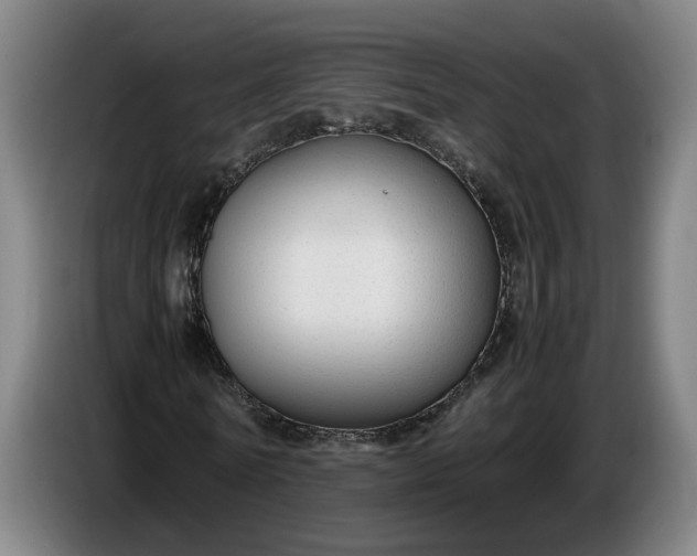 X0000085790770200703301450
