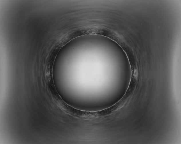 X0000085790771200703301450