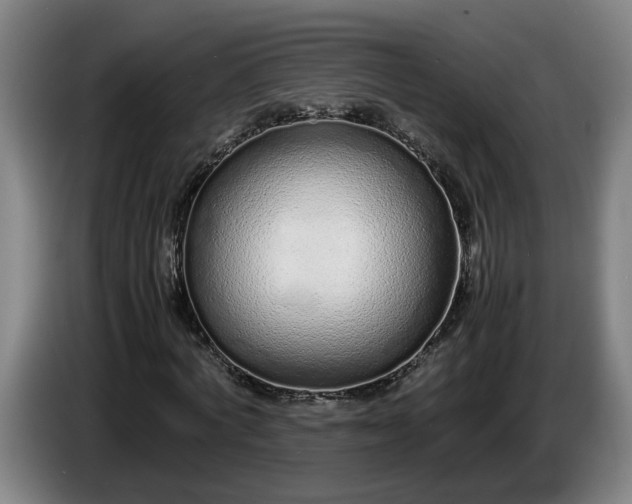 X0000085790772200703301450