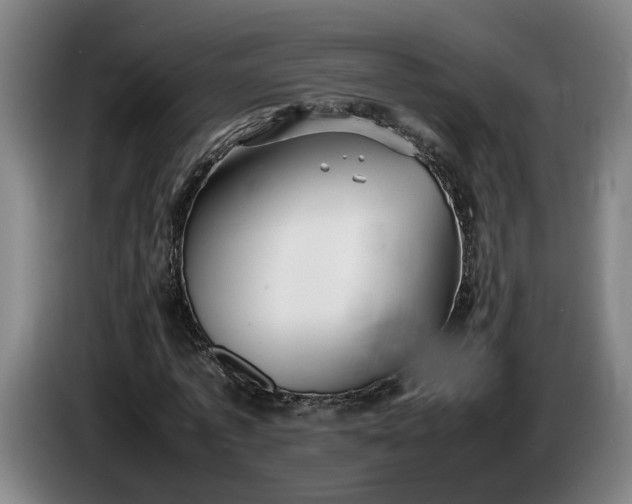 X0000085790773200703301450