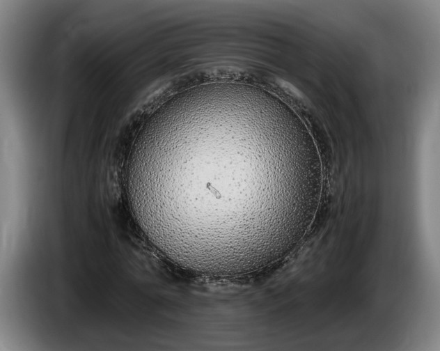 X0000085790774200703301450