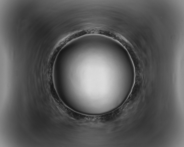 X0000085790775200703301450