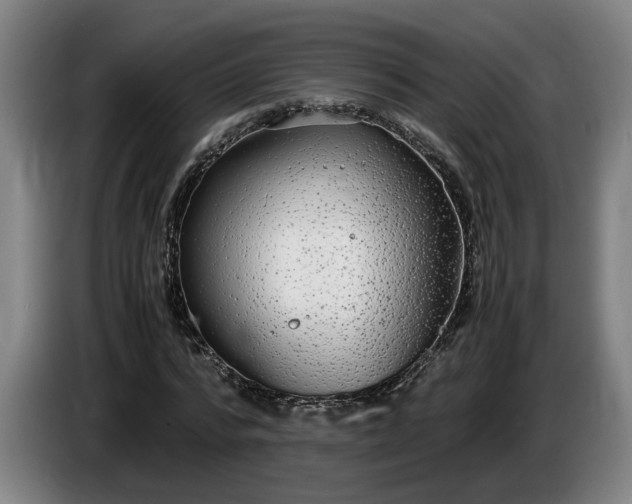 X0000085790776200703301450