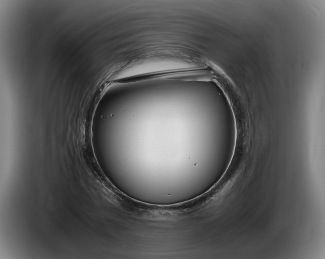 X0000085790777200703301450