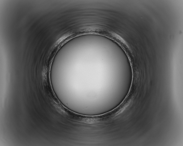 X0000085790778200703301450