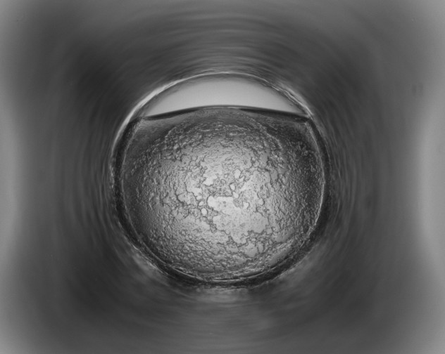 X0000085790779200703301450