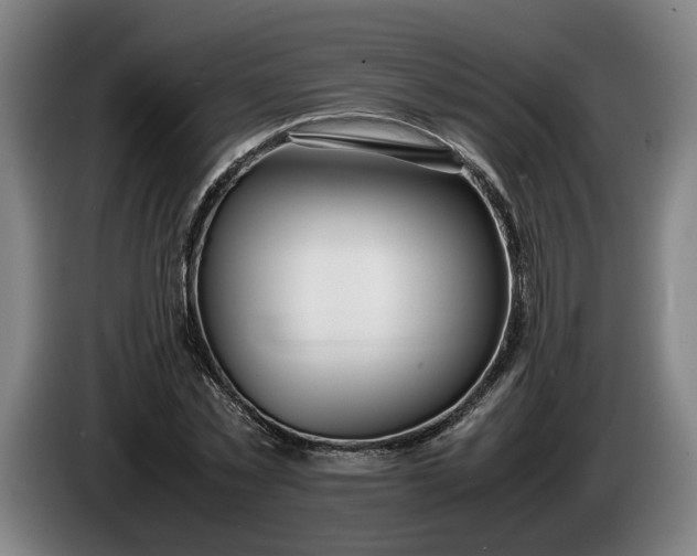X0000085790781200703301450
