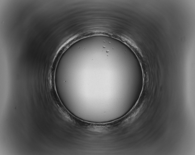 X0000085790782200703301450