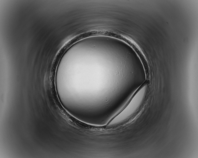 X0000085790783200703301450