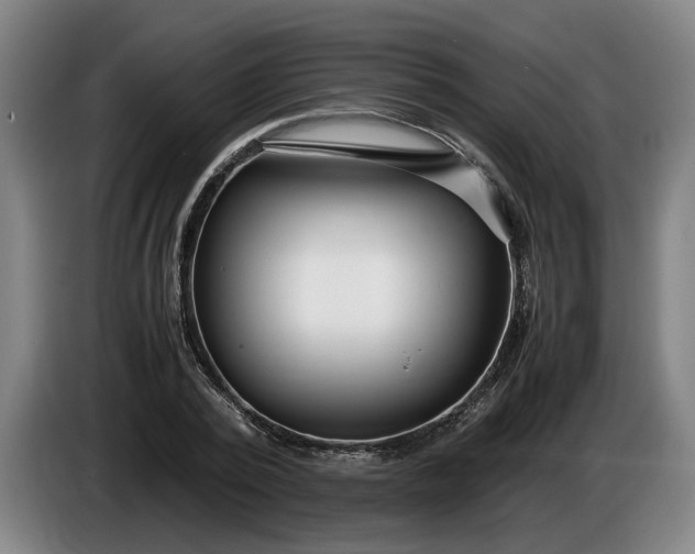 X0000085790784200703301450