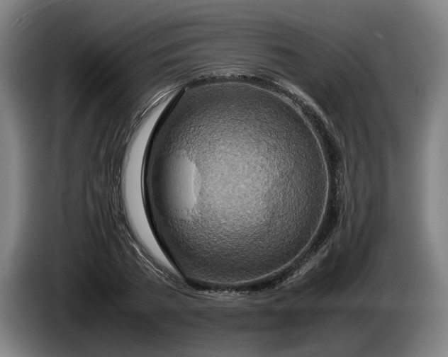 X0000085790785200703301450