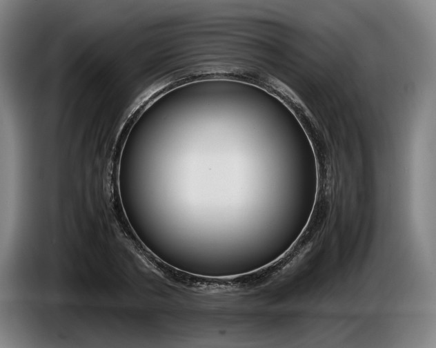 X0000085790786200703301450