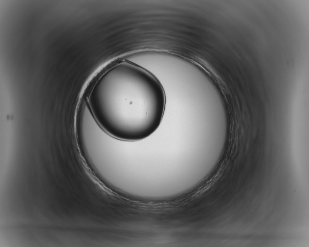 X0000085790788200703301450
