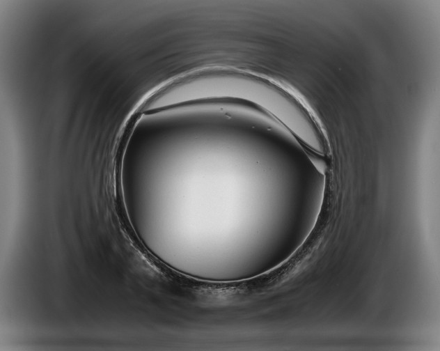 X0000085790791200703301450