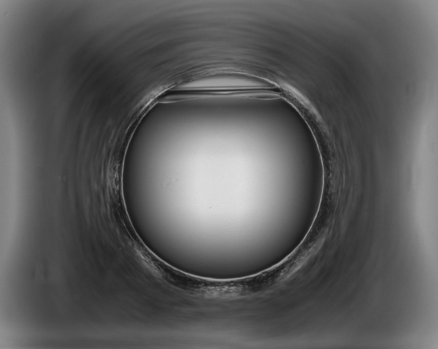 X0000085790793200703301450