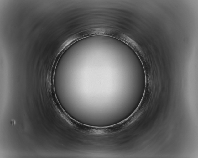 X0000085790794200703301450