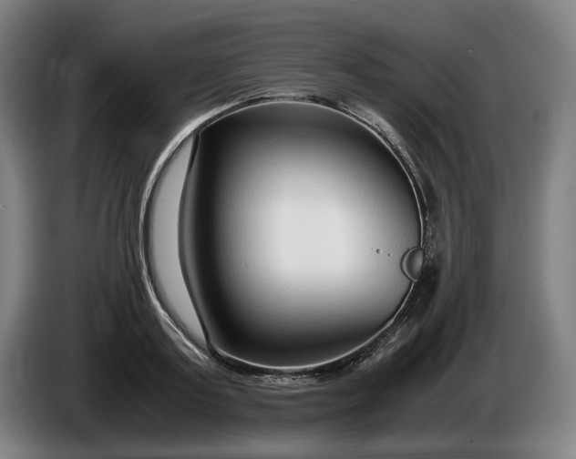 X0000085790795200703301450