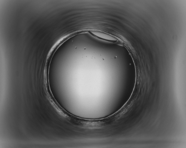 X0000085790796200703301450
