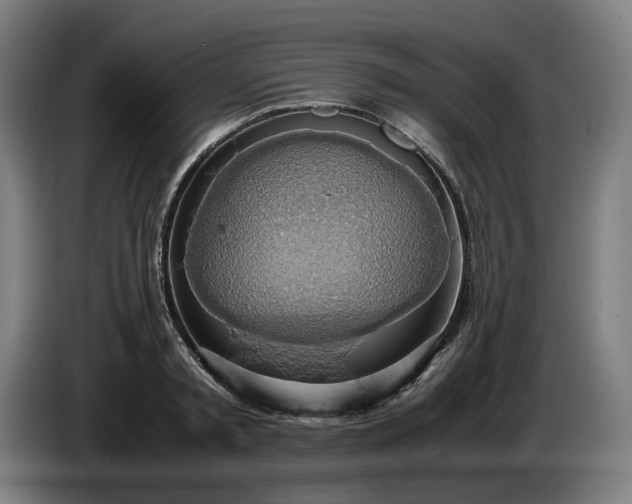 X0000085790797200703301450