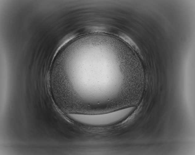X0000085790798200703301450