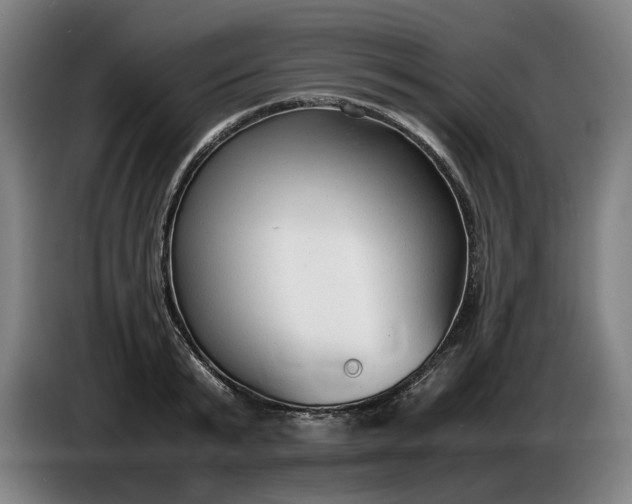 X0000085790799200703301450