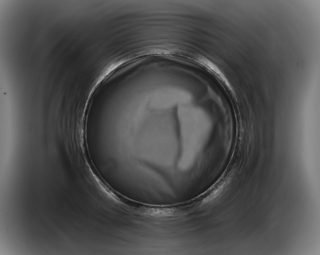 X0000085790802200703301450